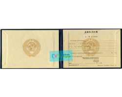 Диплом техникума